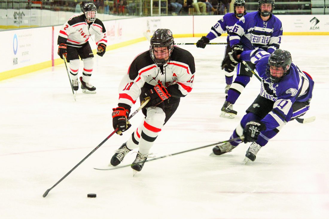 PREP BOYS HOCKEY Marshall looks to build off historic season in 2019